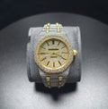 Hip Hop High Quality APT Gold Roman  Pointer Real Moissanite Iced Mechanical Auto Movement Mechanical Watch